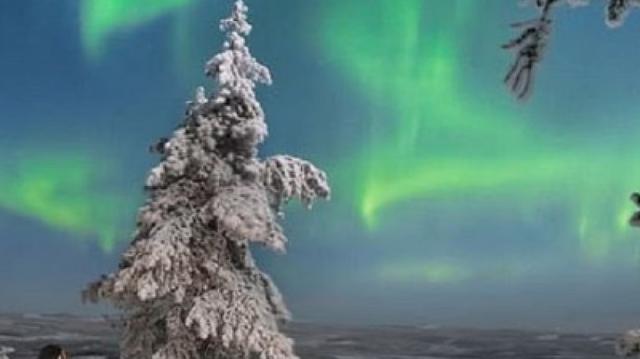 Small-Group Aurora Snowshoeing in Forests