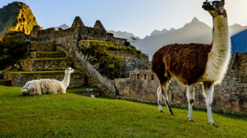 Cusco Magic 5 Days Private (Cusco, Sacred Valley, Machu Picchu, Qeswachaka Bridge) 1