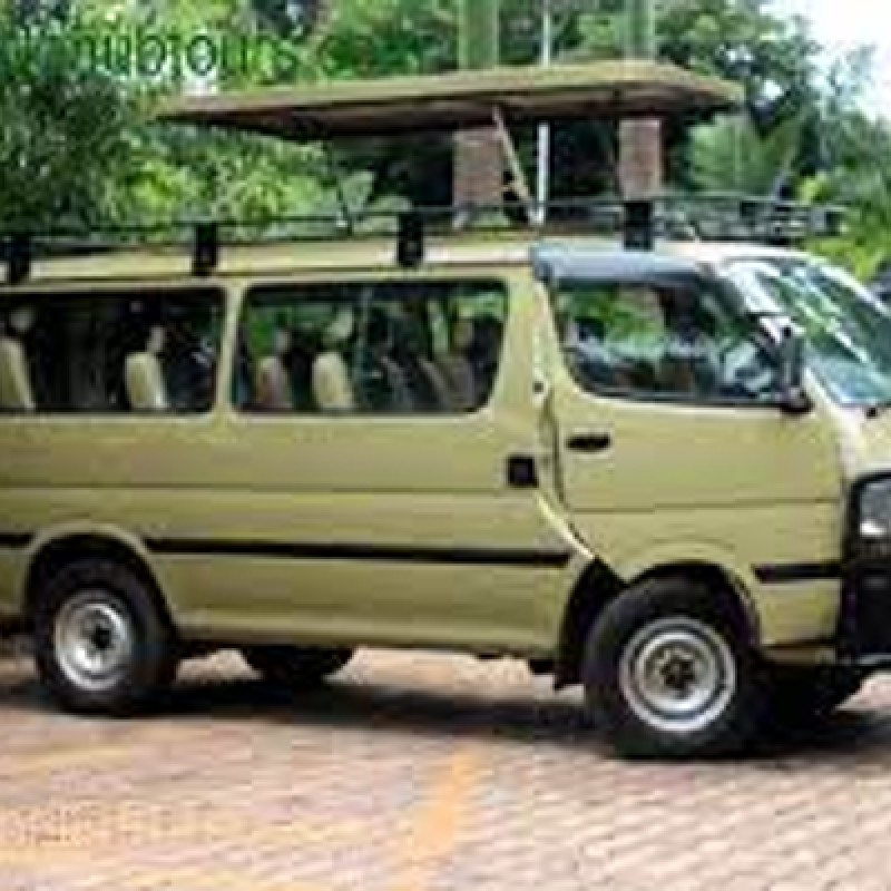 3 Days Gorilla Trekking in Rwanda 1