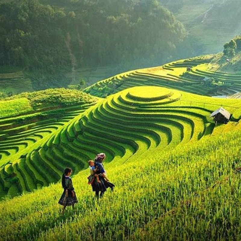 12 days Adventure in the North of Vietnam 1