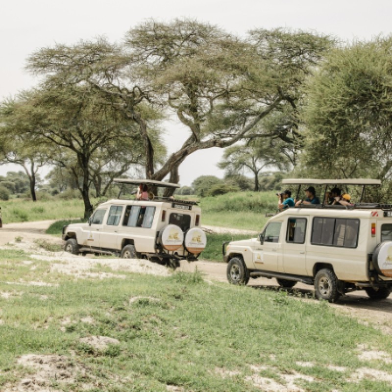 10-Day 9-Night Tanzania Comfort Safari & Zanzibar 1