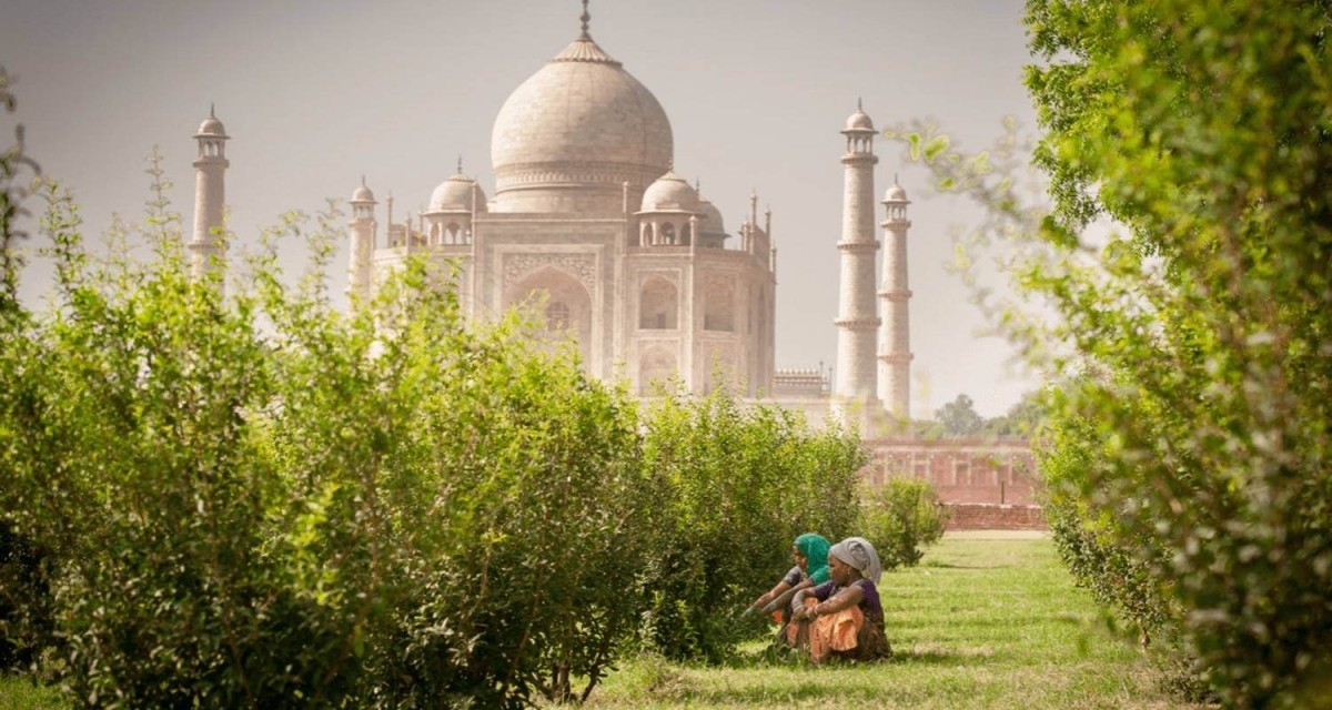 North India Food Adventure 10 Days 1