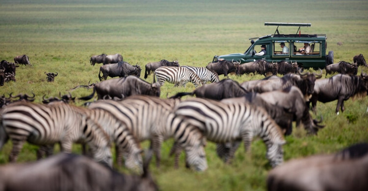 Tanzania Migration Safari 1