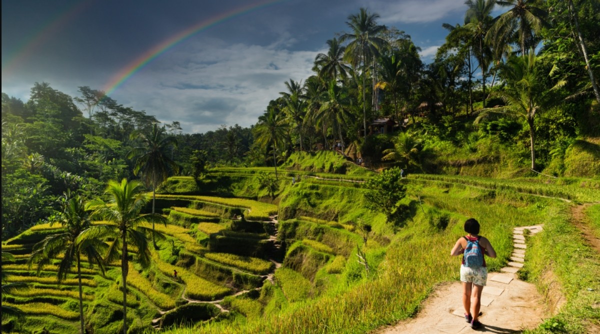8 Days Bali Road Trip Explore Bali Your Way 1