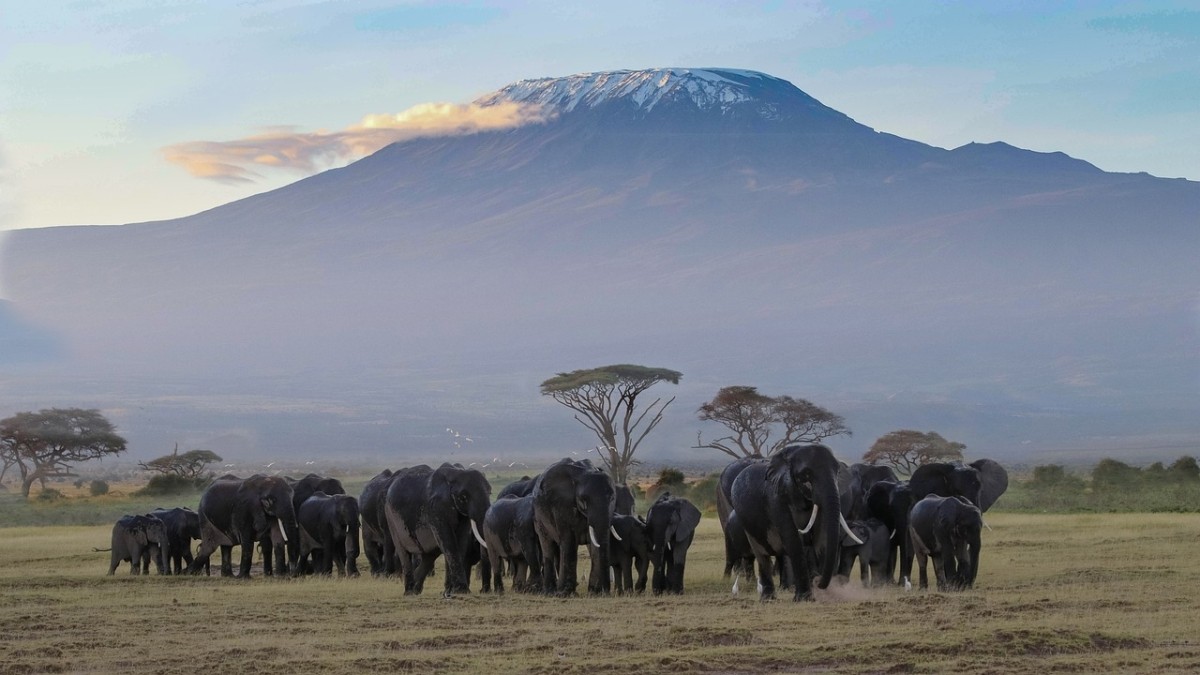 3 Days Amboseli National Park 1
