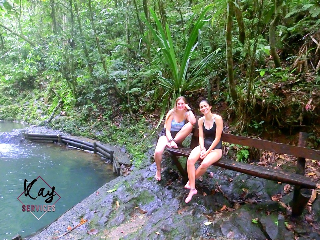Waterfalls and Nature Tour 1