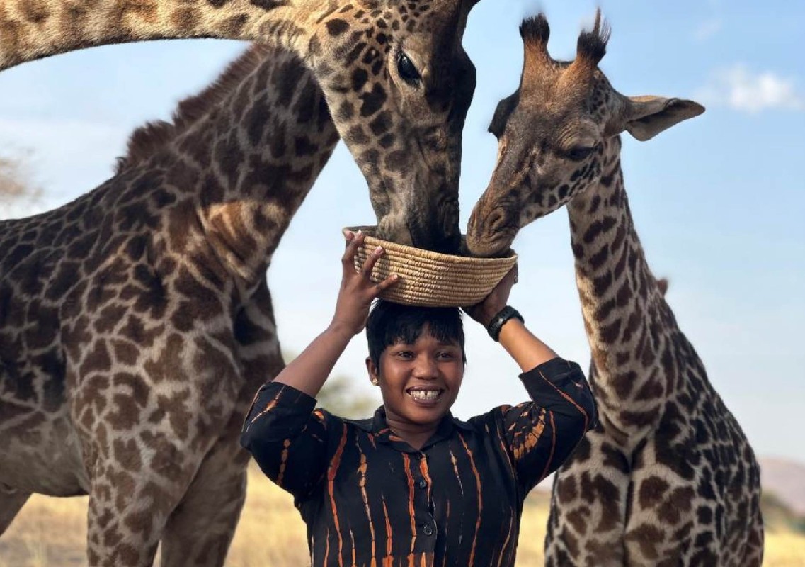 9 Days Nakuru, Mara, Serengeti, Ngorongoro, Serval & Amboseli Luxury Safari 1