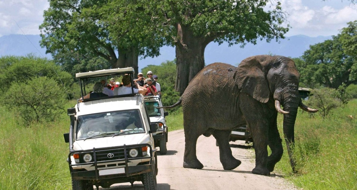 4-Day Midrange Amboseli, Tsavo West, Tsavo East Safari 1