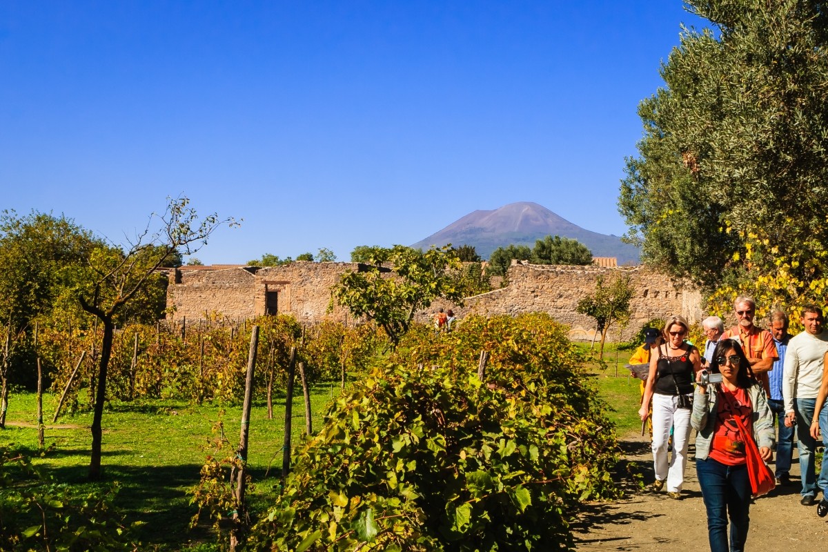 Explore Pompeii and Mt Vesuvius with Lunch and Wine Tasting from Naples - Private tour 1
