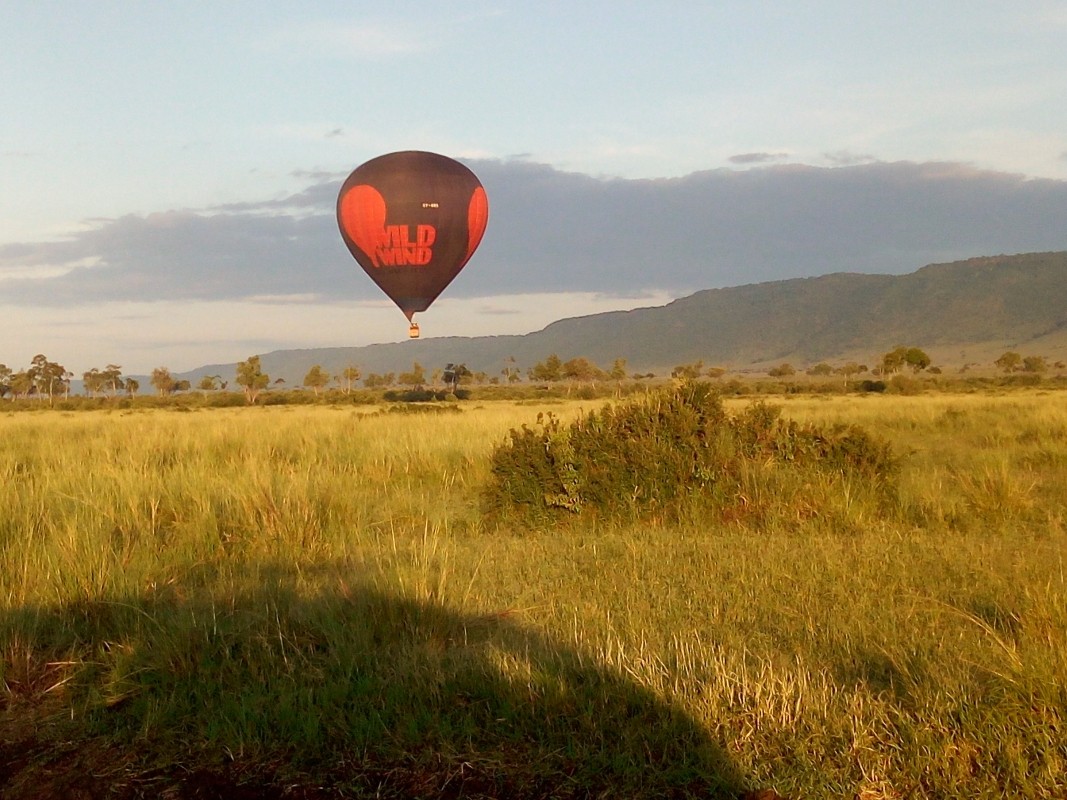 An Unforgettable 9-Day Safari Through Kenya’s Iconic Parks 1