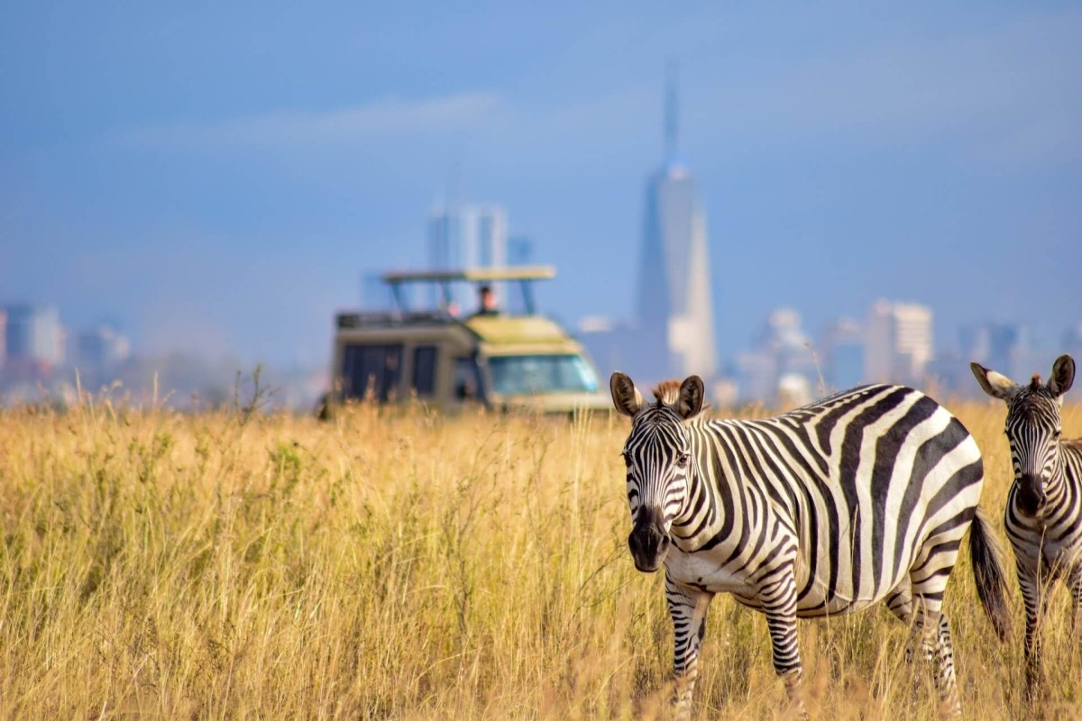 Nairobi City Safari & Fun Adventure Extravaganza 1