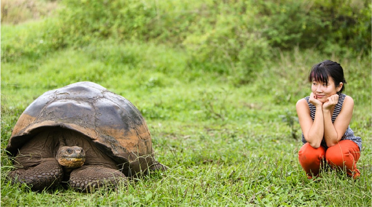 7 Days – Galapagos Loop: Immersive Experience 1