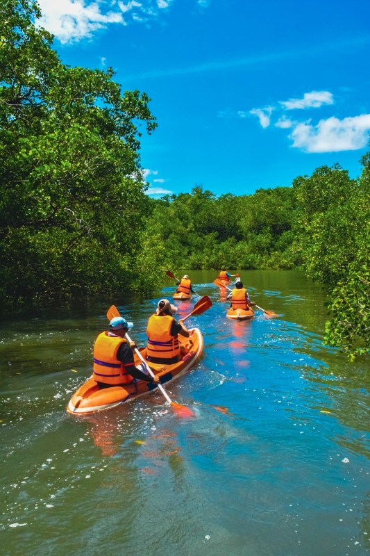 Bali Mangrove Canoeing Tour 1