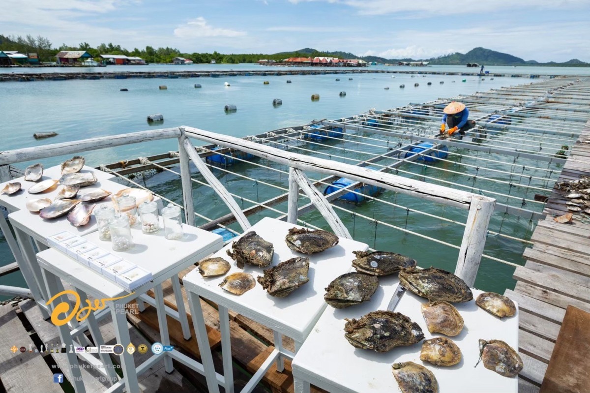 Phuket City tour & Pearl Farm (Private) 1