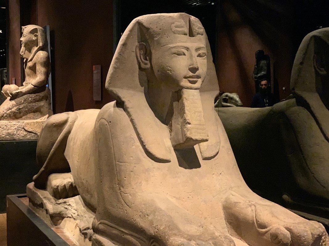 Egyptian Museum of Turin: Entrance Ticket & Hop On Hop Off tour 1
