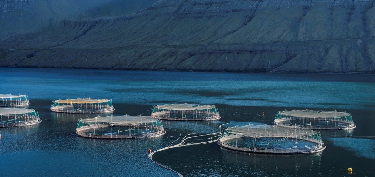 Faroe islands 1