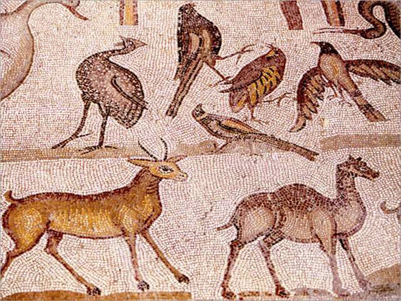 Adana Misis Mosaic Museum (2)