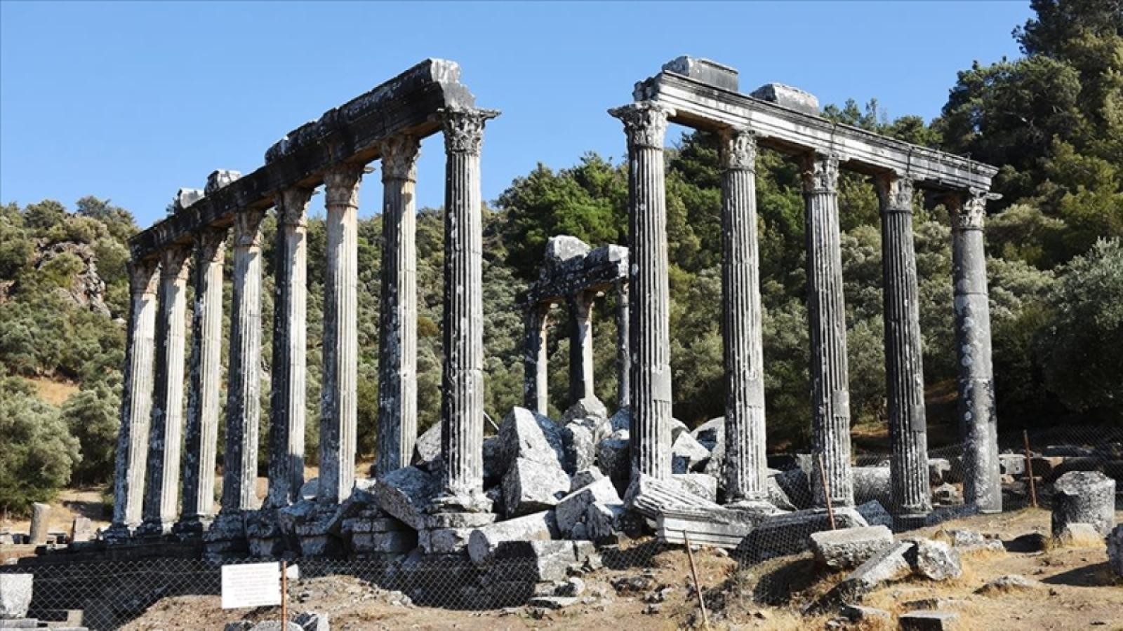 Temple of Zeus Lepsynos