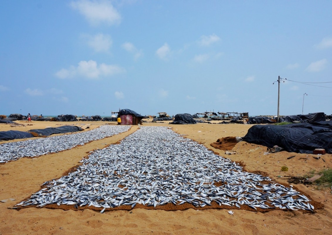 Explore Sri Lanka in Style – 7 Days 1