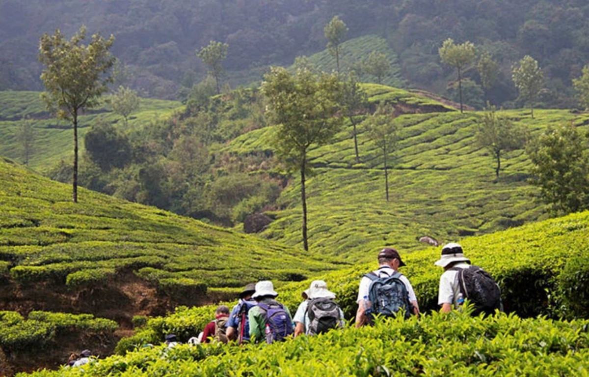 Kerala Trails 1