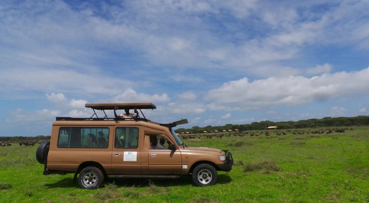 Arusha: 9-Day Multi-Park Great Migration Flexible Round-Trip Safari 1