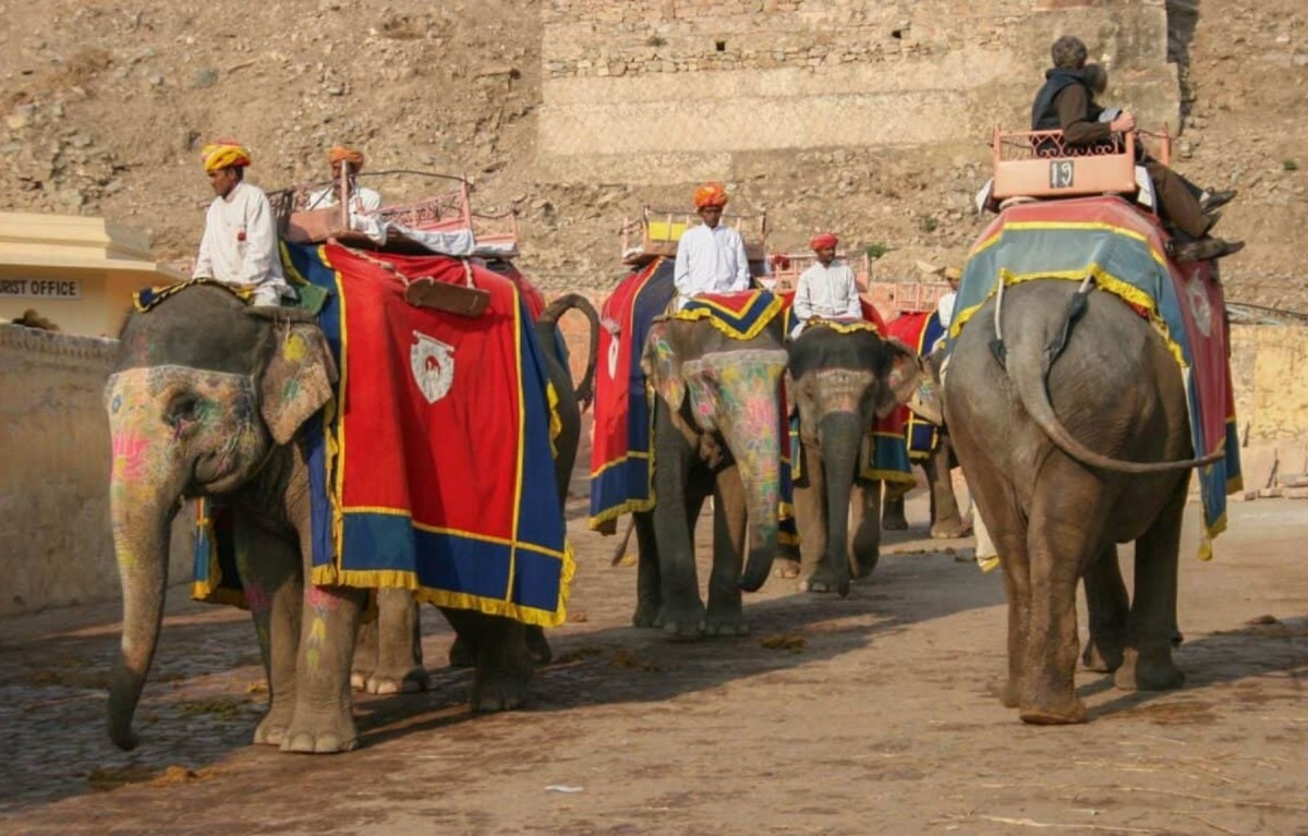 Rajasthan Epic & Beyond Trails 1