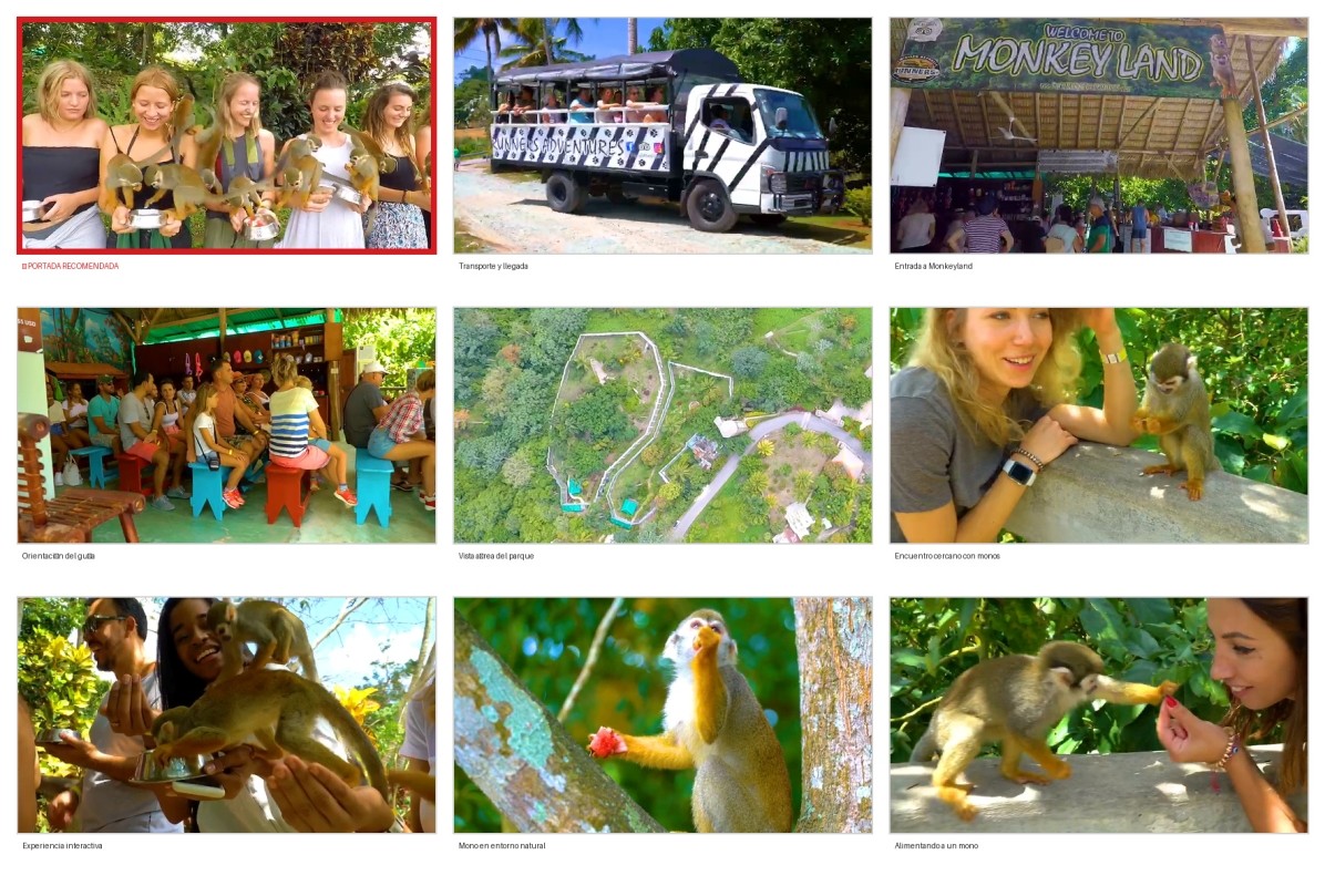 Punta Cana Monkeyland & Zipline Jungle Adventure 1