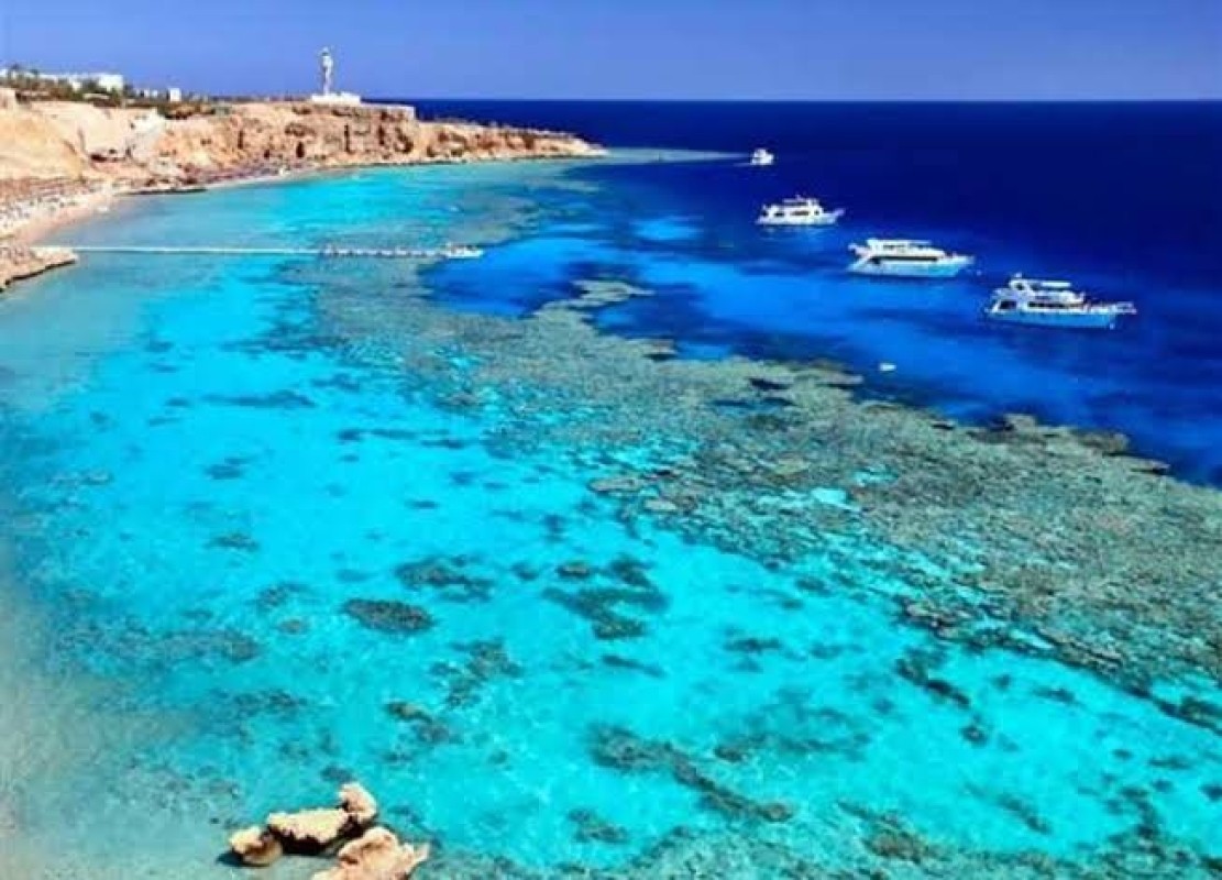 Explore the Wonders of the Red Sea – White Island & Ras Mohamed 1