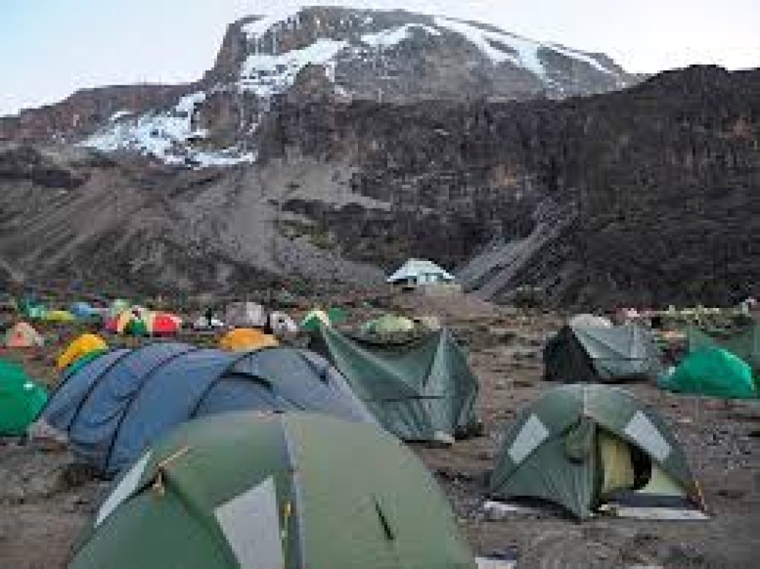 6 Day Kilimanjaro Lemosho Route Trek: Uhuru Peak Group Climb 1