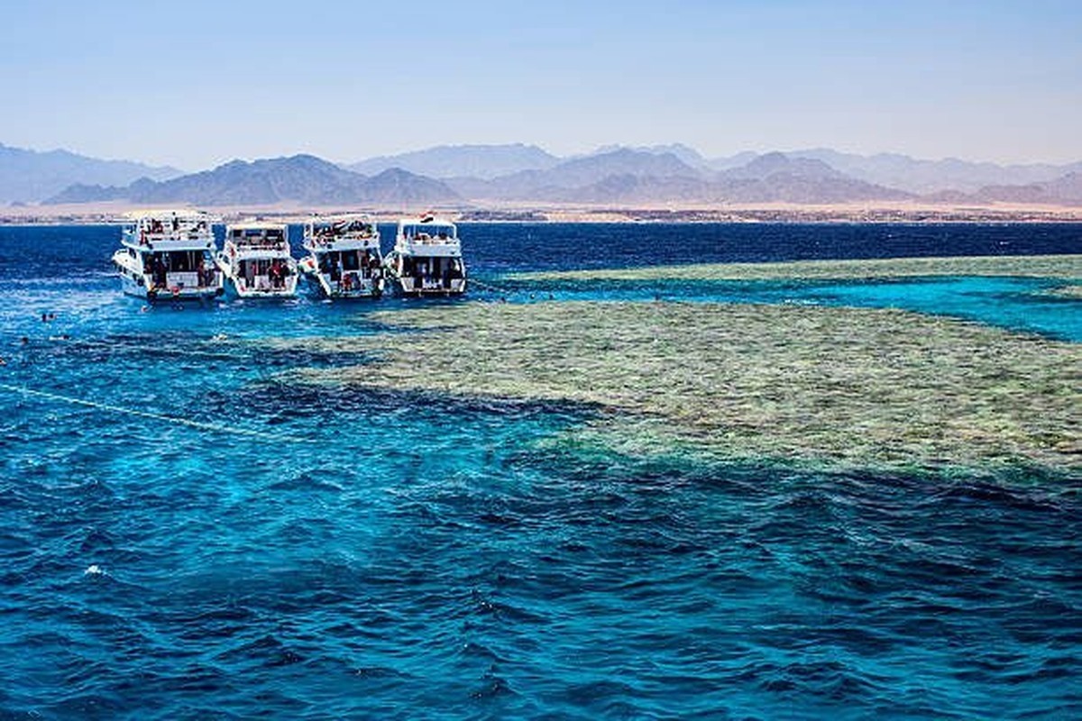 13 Day Marsa Alam Red Sea Reefs, Luxor & 5-Star Nile Cruise 1