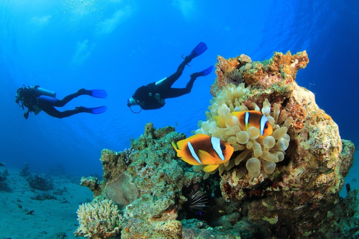 Full-Day Red Sea Scuba Diving Boat Experience in Hurghada with Lunch 1