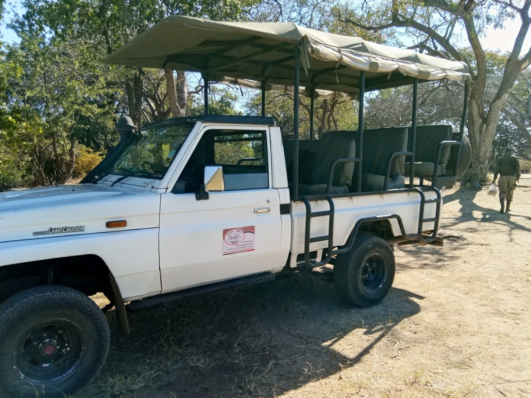 Mosi-oa-Tunya National Park Game Drive & White Rhino Walk from Livingstone 1