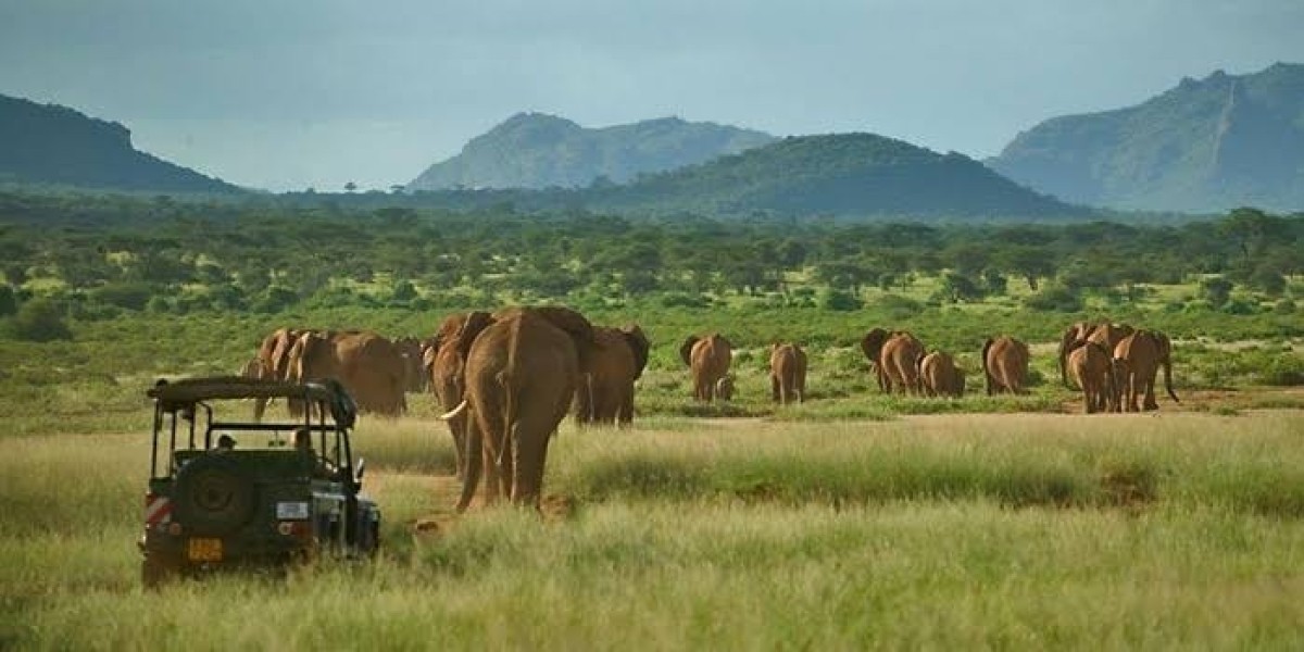 3 Day Samburu National Reserve Safari from Nairobi, Kenya 1