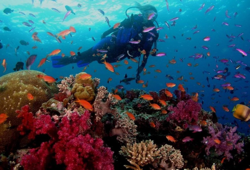 Daily Cesme Scuba Diving Tour 1