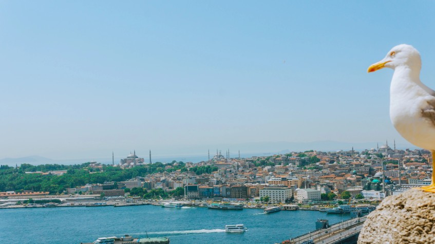 14 Days Istanbul to Cairo Combined Tour 1