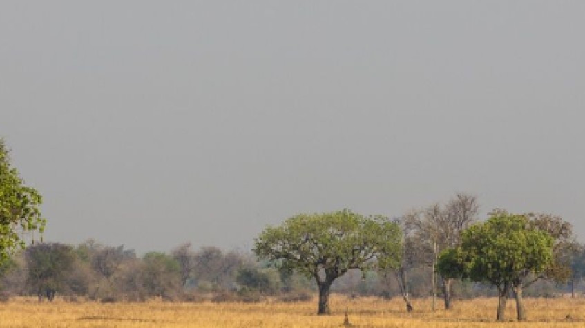 9 Days - Discover Zambia’s Luangwa Safari 1