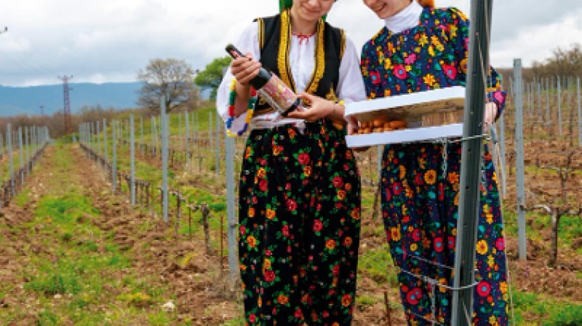 4 Days Istanbul Planting Seedlings/Harvest and Wine Testing Tour 1