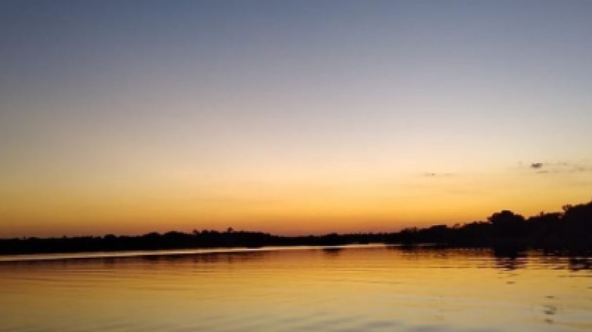 Jungle Safari – Come and Discovery the Real Jungle (6 Days – 5 Nights) 1