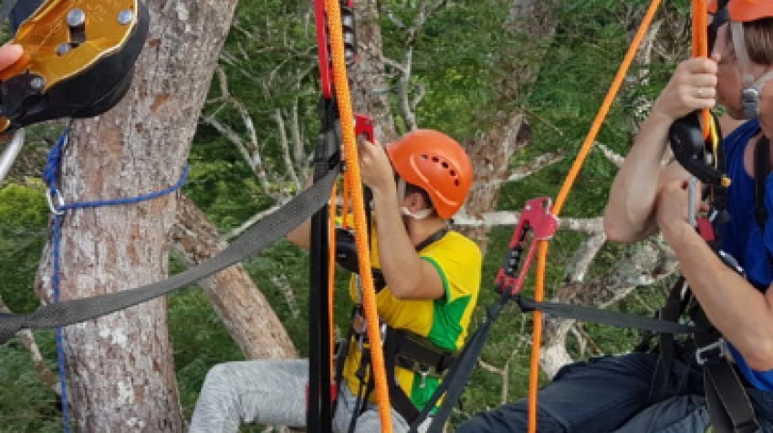 Tree Climbing 1