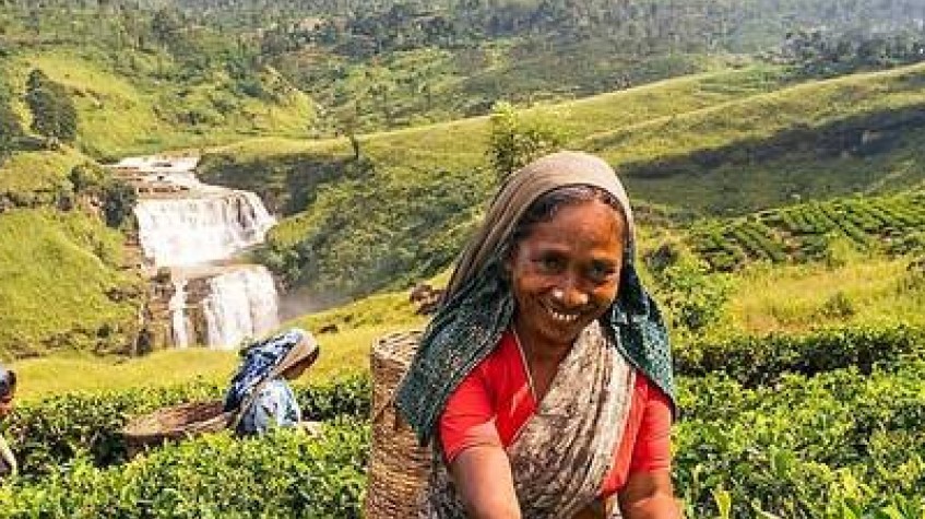 2 Days All-Inclusive Kandy and Nuwara Eliya Tour 1