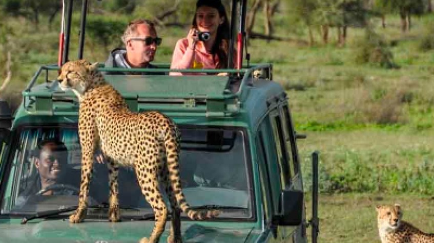 11 Days Best of Uganda Safari 1
