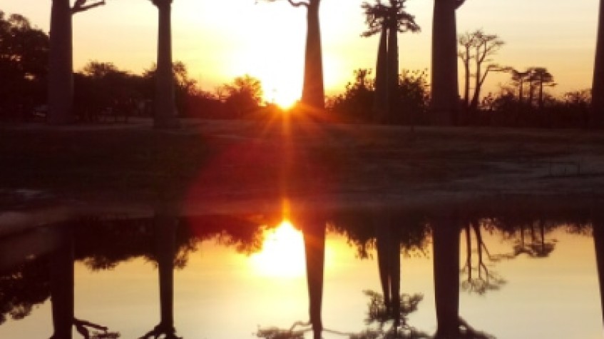 Baobabs Discovery 04Days/03Nights 1
