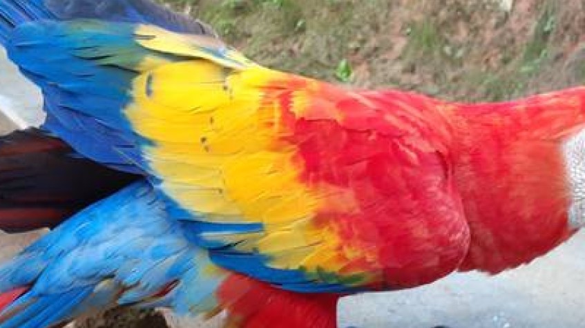Colombia & Galapagos Express 13 Days Tour 1