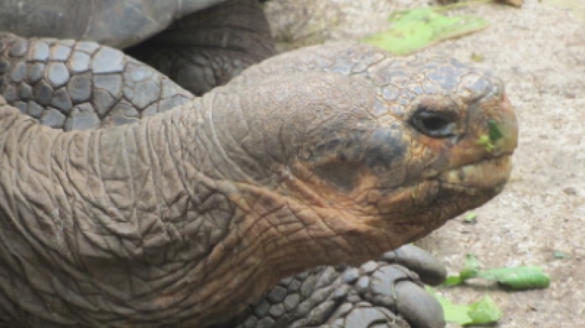 6 Day Galapagos Highlights Tour Islands Wildlife and Nature Experience 1