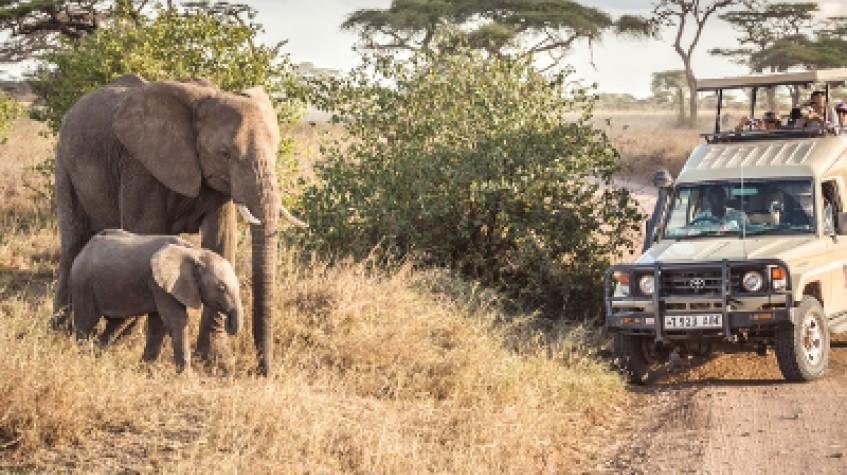 Big 5 Tanzania Adventure Safari Big 5 Tanzania Adventure Safari
