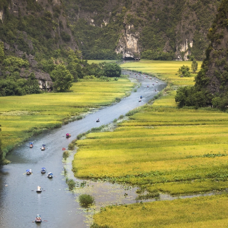 Hanoi - Halong - Tamcoc - Phatdiem - Hue - Lavang - Danang - Hoian - Saigon - Bentre (10 Days - 9 Nights) 3