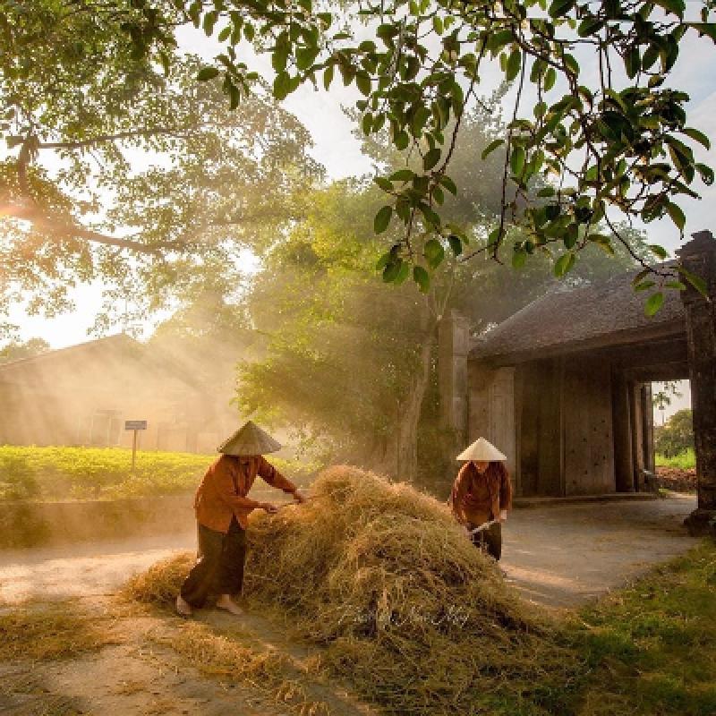 Northeast of Vietnam (10 Days - 9 Nights) Northeast of Vietnam (10 Days - 9 Nights)
