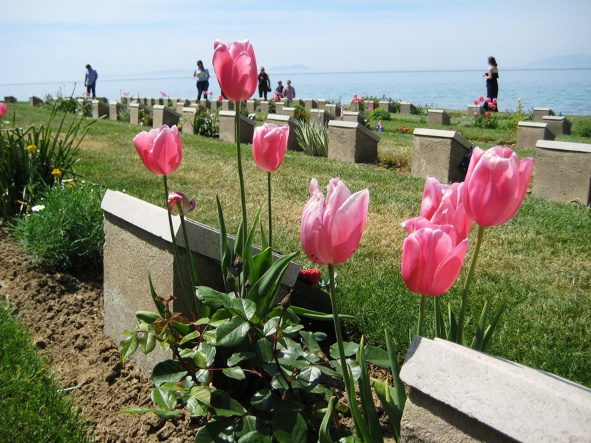 3 Day Gallipoli in Depth Tour from Istanbul with Troy 2
