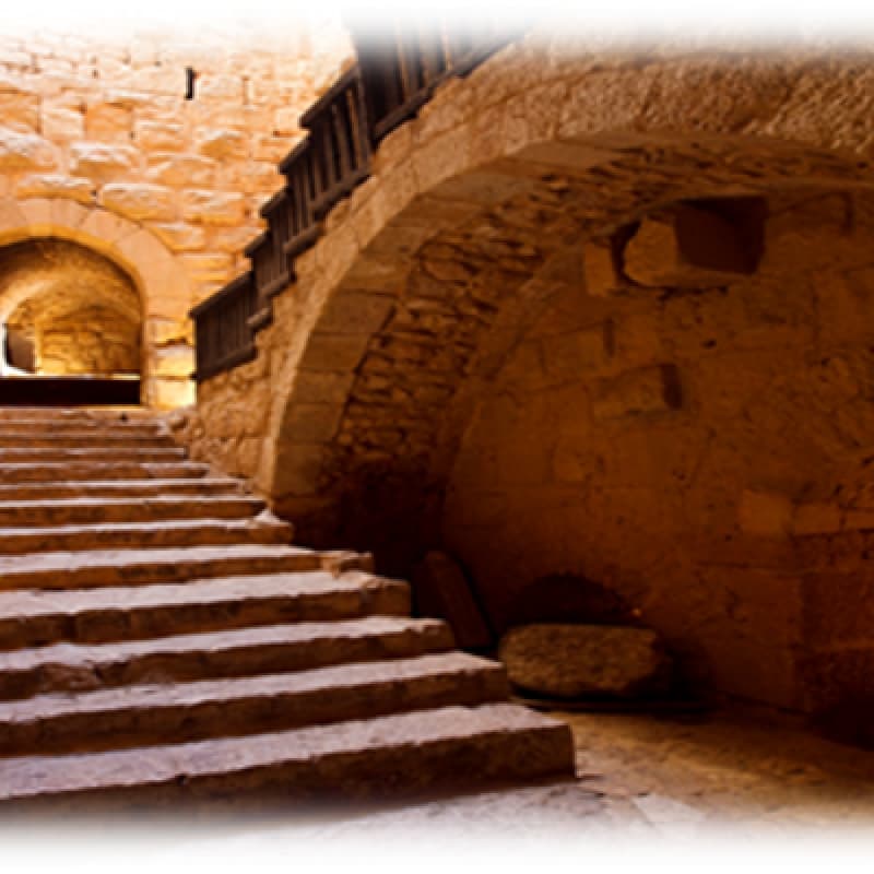Biblical Jordan Group Tour Experience 2