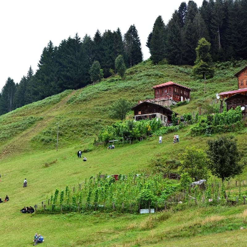 Ayder Tour Rize Black Sea Highlands Waterfalls and Nature Experience 2